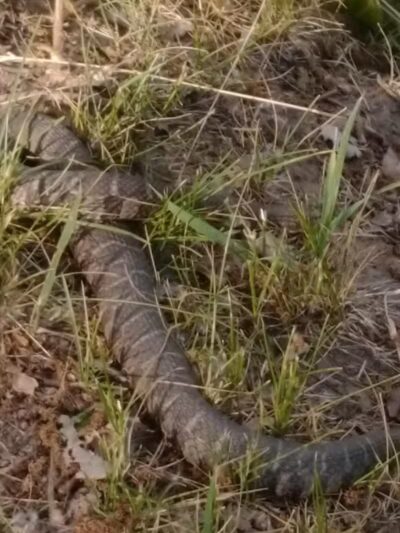 Flaherty Park - Watervliet,