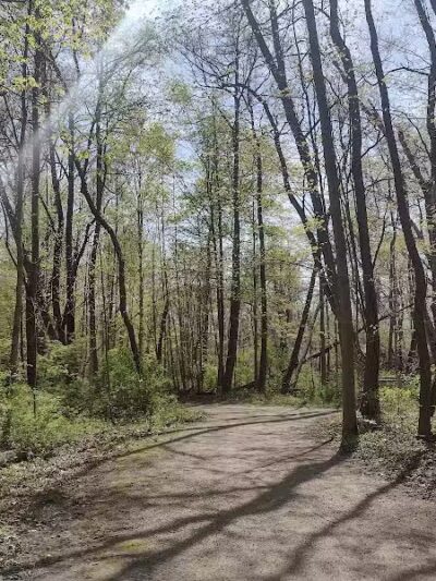 Hays Park - Watervliet,