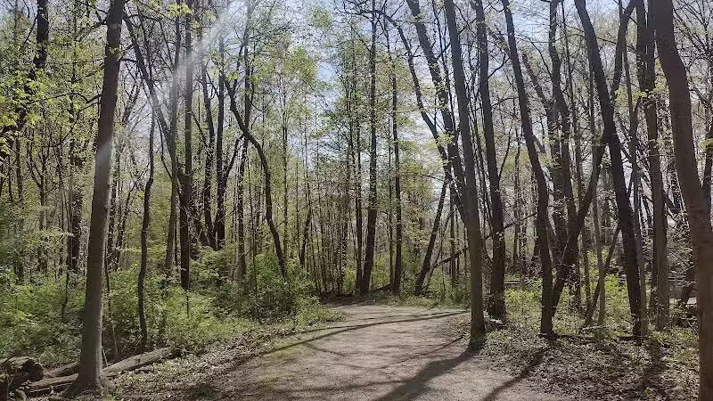 Hays Park - Watervliet,