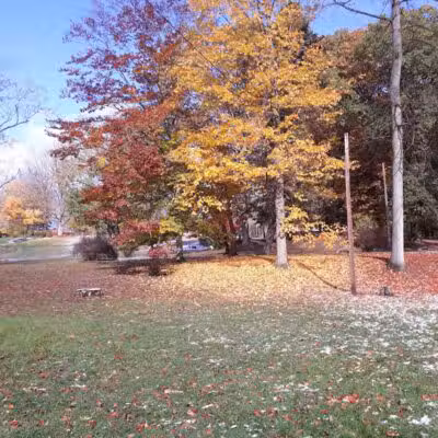 Hays Park - Watervliet,