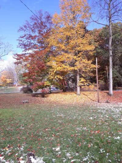 Hays Park - Watervliet,