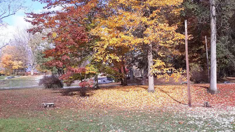 Hays Park - Watervliet,