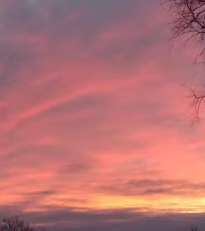 Hays Park - Watervliet,