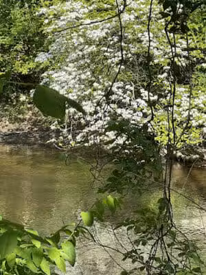 Berrien County Park - Watervliet,