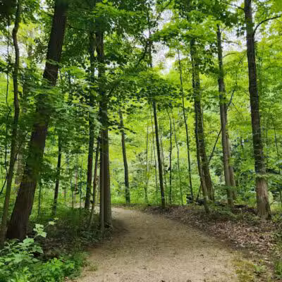 Paw Paw River County Park - Watervliet,