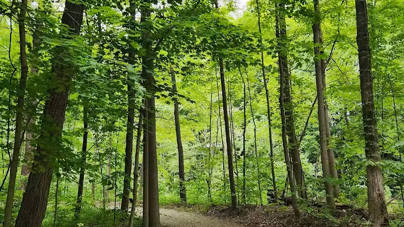 Paw Paw River County Park - Watervliet,
