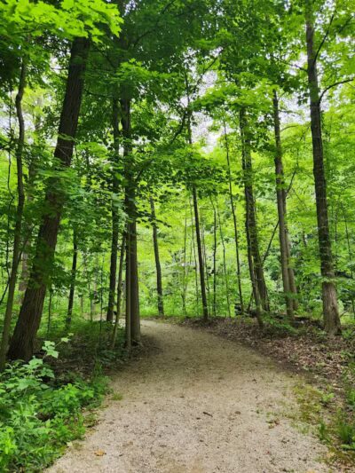 Paw Paw River County Park - Watervliet,