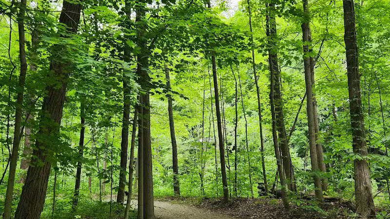 Paw Paw River County Park - Watervliet,