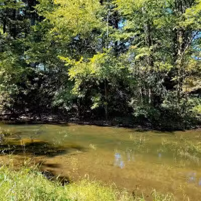 Paw Paw River County Park - Watervliet,