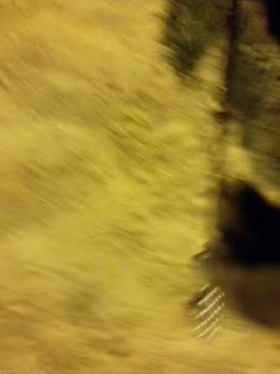 Sunset Park - Watervliet,