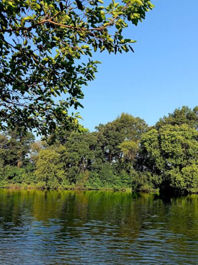 Yahara Heights Dog Park - Waunakee, WI