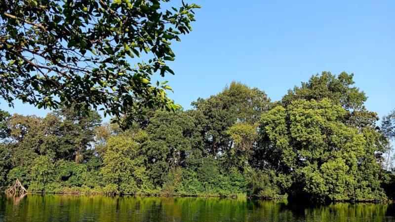 Yahara Heights Dog Park - Waunakee, WI