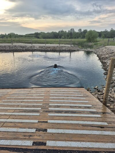 Tails & Trails Off-Leash Dog Park - Waupaca, WI