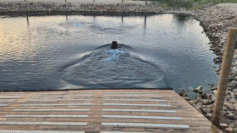 Tails & Trails Off-Leash Dog Park - Waupaca, WI