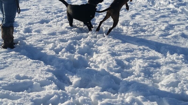 Tails & Trails Off-Leash Dog Park - Waupaca, WI