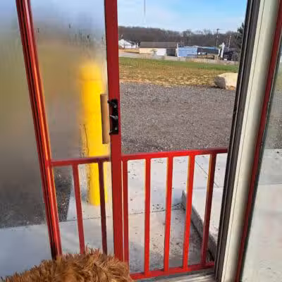 Fresh-N-Clean Pet Wash - Wayland,
