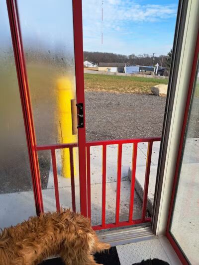 Fresh-N-Clean Pet Wash - Wayland,