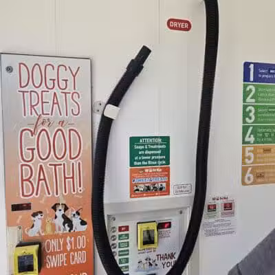 Fresh-N-Clean Pet Wash - Wayland,