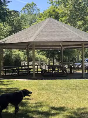 Rabbit River Trails - Wayland,