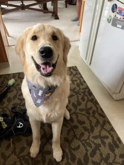 Pet Klips CDC - Wayland,