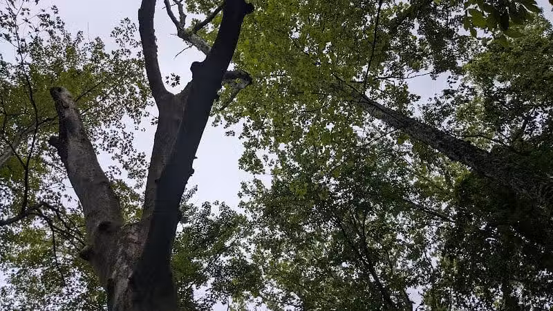 Rabbit River Trails - Wayland,
