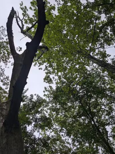 Rabbit River Trails - Wayland,