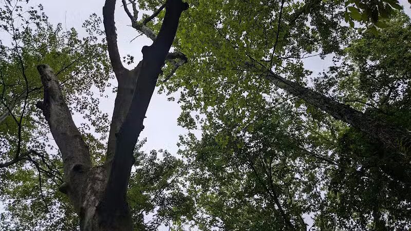 Rabbit River Trails - Wayland,