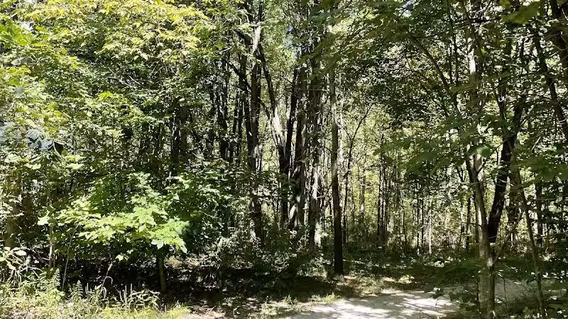 Rabbit River Trails - Wayland,
