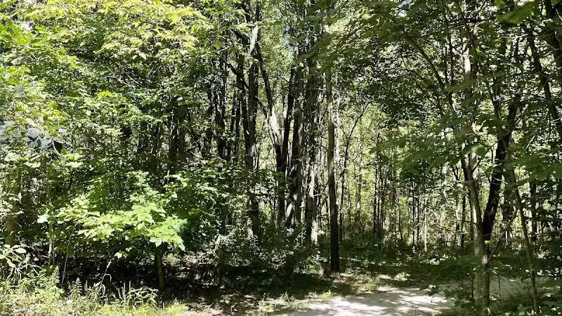 Rabbit River Trails - Wayland,