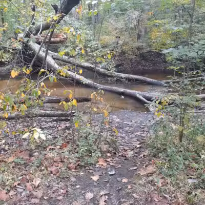 Rabbit River Trails - Wayland,