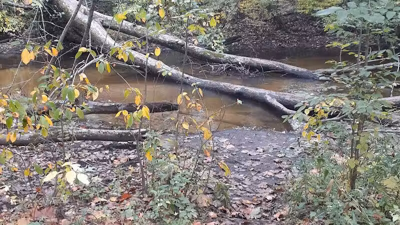 Rabbit River Trails - Wayland,