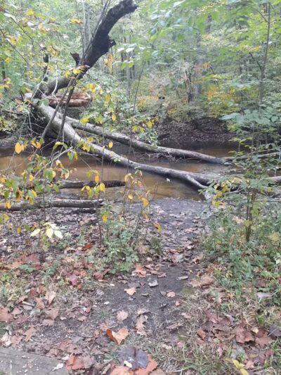 Rabbit River Trails - Wayland,