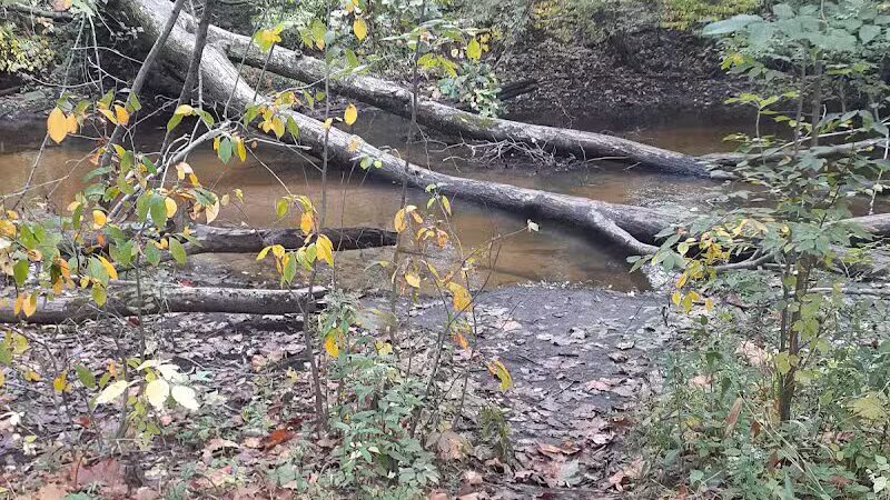 Rabbit River Trails - Wayland,