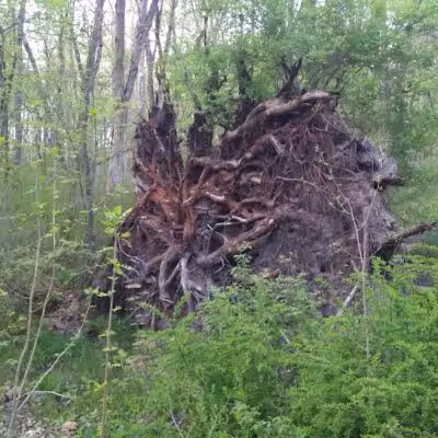 Rabbit River Trails - Wayland,