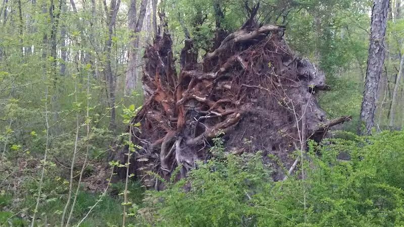 Rabbit River Trails - Wayland,