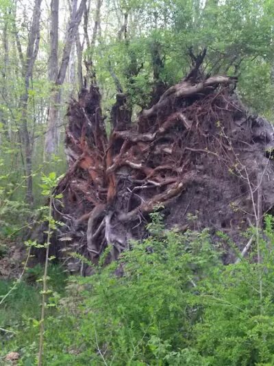 Rabbit River Trails - Wayland,