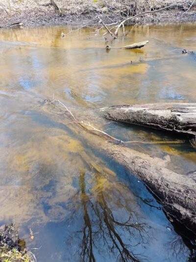 Rabbit River Trails - Wayland,
