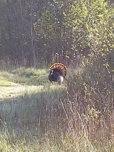 Dynamite Park - Wayne,