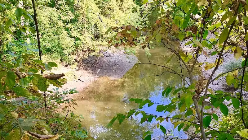 Dynamite Park - Wayne,