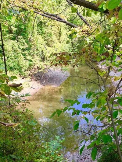 Dynamite Park - Wayne,