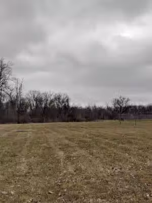 Dynamite Park - Wayne,