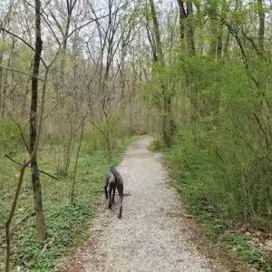 McKaig Nature Education Center - Wayne, PA