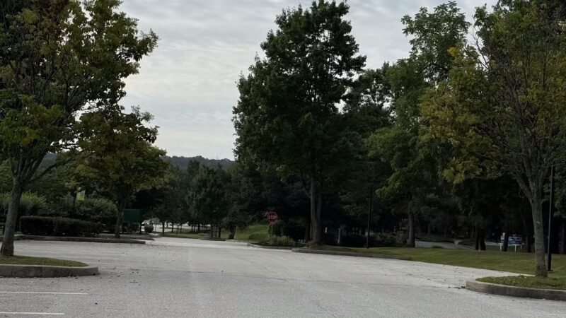 Wilson Farm Park - Wayne, PA