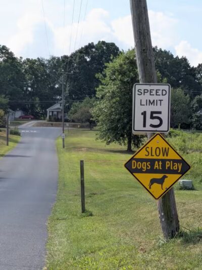 Coyner Springs Park - Waynesboro, VA