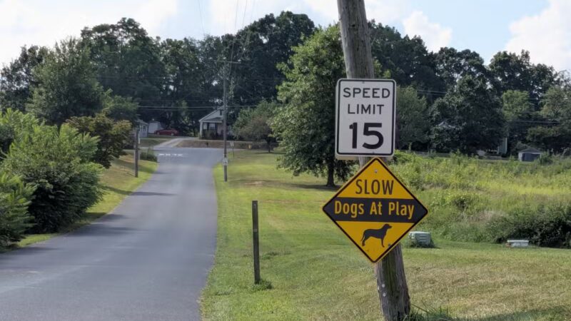Coyner Springs Park - Waynesboro, VA