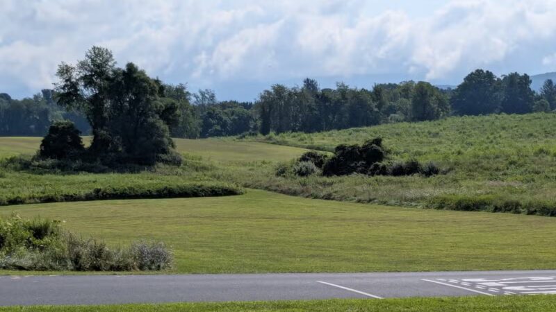 Coyner Springs Park - Waynesboro, VA