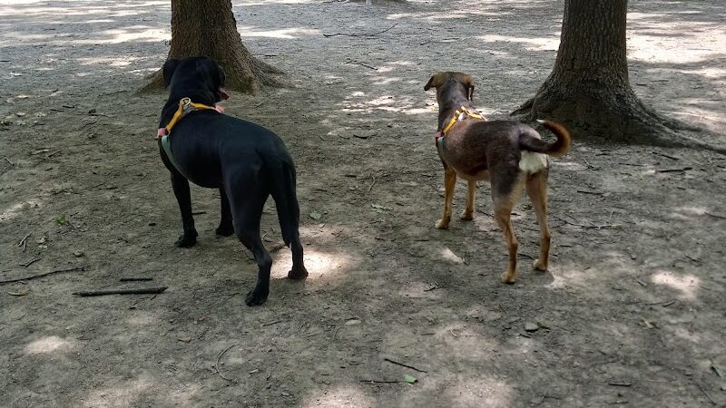 Patsy Hooks Dog Park at Heritage Park - Weatherford, TX