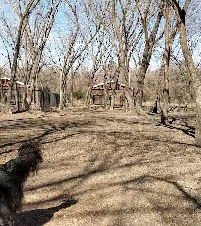 Patsy Hooks Dog Park at Heritage Park - Weatherford, TX