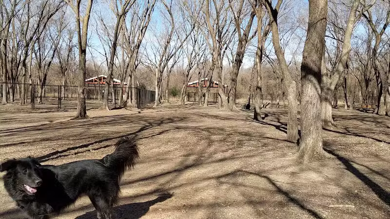 Patsy Hooks Dog Park at Heritage Park - Weatherford, TX