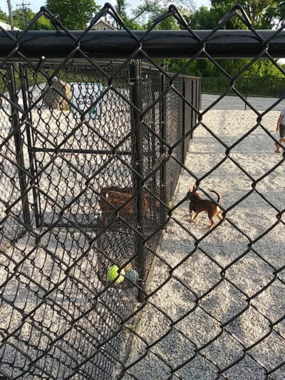 Webster Dog Park - Webster, MA